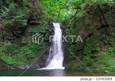 赤目四十八滝 琵琶滝(赤目5瀑) 赤目四十八滝 琵琶滝(赤目5瀑) 23483068