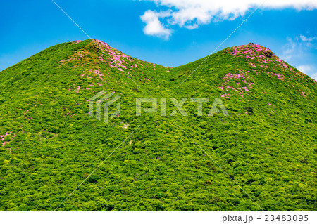 坊ガツル 23483095