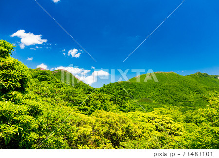 坊ガツル 23483101