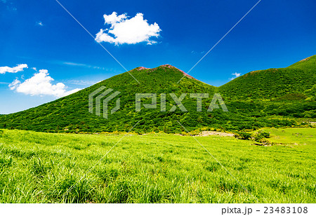 坊ガツル 23483108