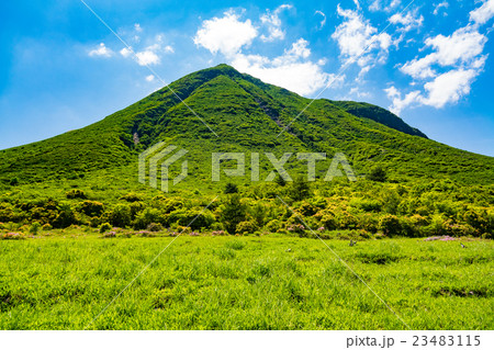 坊ガツル 23483115