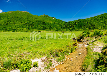 坊ガツル 23483117