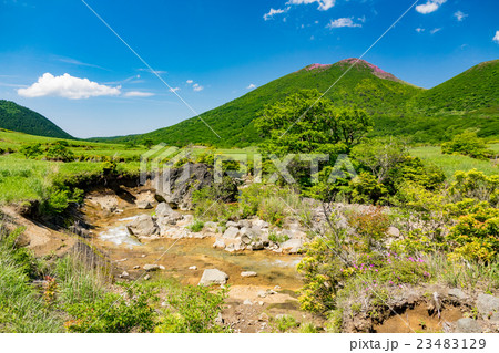 坊ガツル 23483129