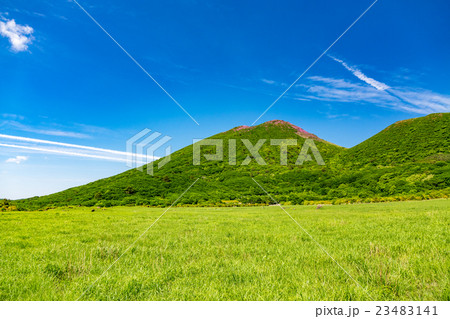 坊ガツル 23483141