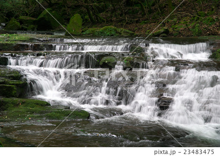 赤目四十八滝　雛段滝 23483475
