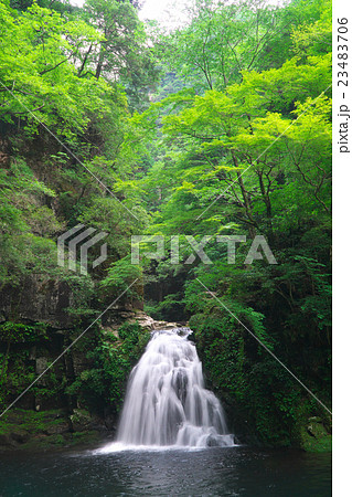 赤目四十八滝　千手滝（赤目5瀑） 23483706