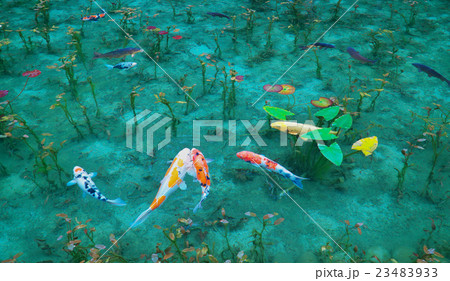 モネの池 - 睡蓮 水の風景 モネの池 - 睡蓮 水の風景 23483933
