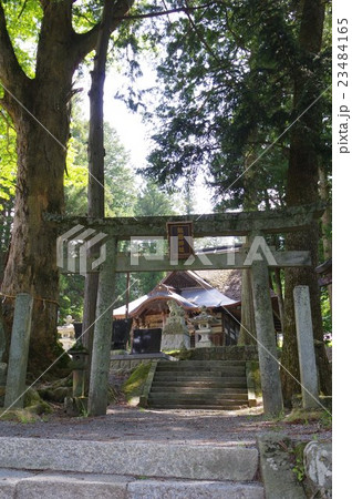 信州 伊那の神社 熱田神社 鳥居・参道・拝殿縦 本殿は国重要文化財 多くの彩色された彫刻が見事な本殿 信州 伊那の神社 熱田神社 鳥居・参道・拝殿縦 本殿は国重要文化財 多くの彩色された彫刻が見事な本殿 23484165