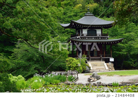 観修寺 23484408