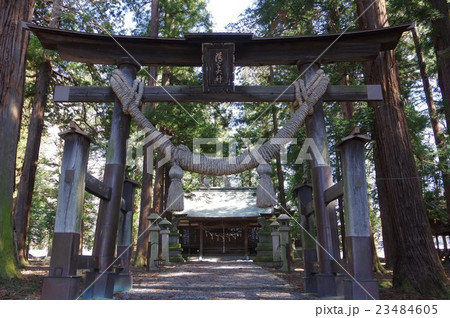 信州　松本の神社　須々岐水神社　鳥居・参道　古代薄川の産土神、現在は御柱祭やお船祭りがおこなわれる 23484605