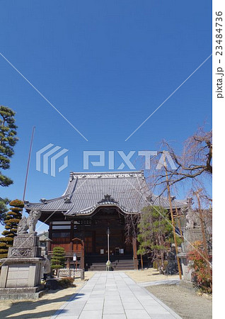 信州　松本の寺院　兎川寺　参道と本堂　縦　信濃守護　小笠原氏の祈願時　戦国乱世に翻弄された寺 23484736