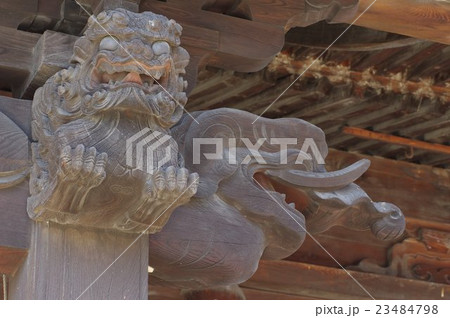 信州 松本の寺院 兎川寺 本堂の彫刻群 獅子と獏(右) 立川流藤森廣八の作品 信州 松本の寺院 兎川寺 本堂の彫刻群 獅子と獏(右) 立川流藤森廣八の作品 23484798