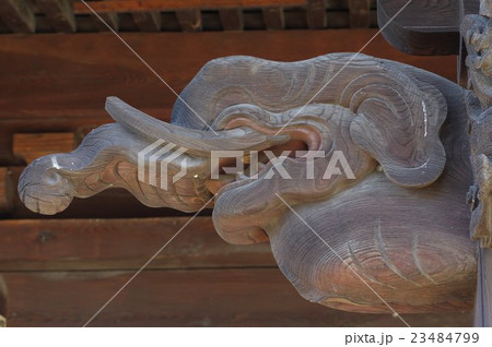 信州 松本の寺院 兎川寺 本堂向拝の獏の彫刻拡大 立川流藤森廣八の作品 信州 松本の寺院 兎川寺 本堂向拝の獏の彫刻拡大 立川流藤森廣八の作品 23484799
