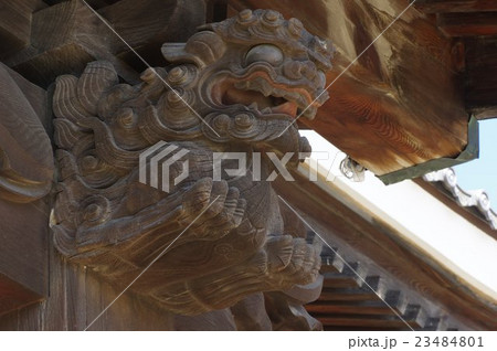 信州　松本の寺院　兎川寺　本堂向拝の獅子の彫刻　立川流藤森廣八の作品 23484801