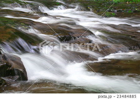 渓流ー赤目四十八滝 渓流ー赤目四十八滝 23484885