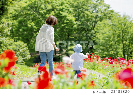 新緑の公園を走る母と子の後ろ姿の写真素材