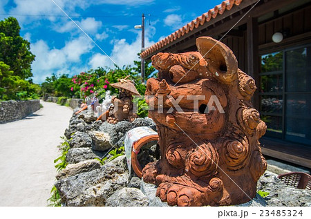 シーサー 23485324