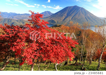 奥日光・社山の紅葉と男体山・中禅寺湖の眺め 奥日光・社山の紅葉と男体山・中禅寺湖の眺め 23485681
