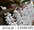 おみくじ 23486280