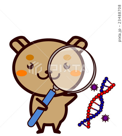 研究する動物シリーズ 23488708