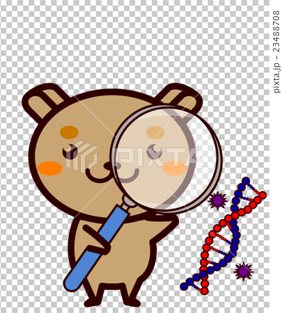 研究する動物シリーズ 23488708