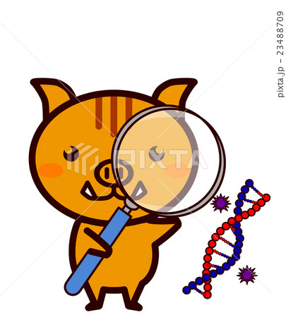 研究する動物シリーズ 研究する動物シリーズ 23488709