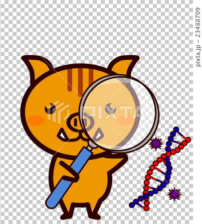 研究する動物シリーズ 研究する動物シリーズ 23488709
