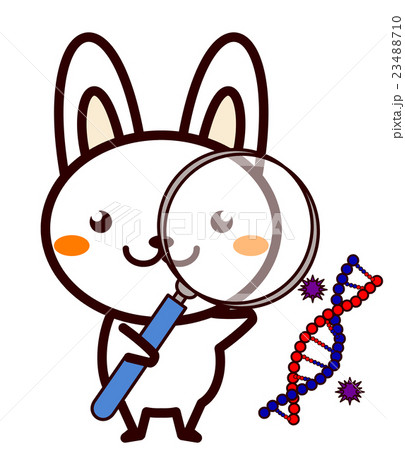 研究する動物シリーズ 23488710