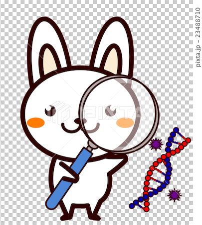 研究する動物シリーズ 23488710