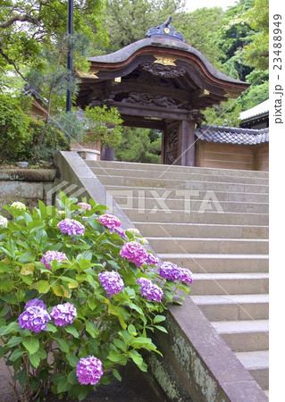 円覚寺唐門 円覚寺唐門 23488949