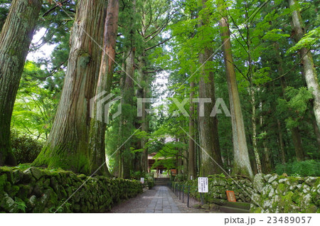 信州　駒ヶ根の寺院　光前寺　参道　横　（８００年頃創建の古刹　霊犬早太郎伝説で有名） 23489057