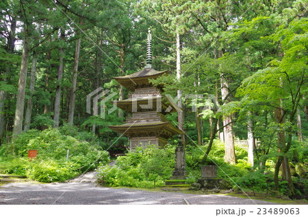 信州　駒ヶ根の寺院　光前寺　三重塔　横　長野県宝（８００年頃創建の古刹　霊犬早太郎伝説で有名） 23489063