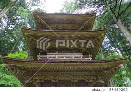 信州 駒ヶ根の寺院 光前寺 三重塔 下俯瞰 長野県宝(800年頃創建の古刹 霊犬早太郎伝説で有名) 信州 駒ヶ根の寺院 光前寺 三重塔 下俯瞰 長野県宝(800年頃創建の古刹 霊犬早太郎伝説で有名) 23489066