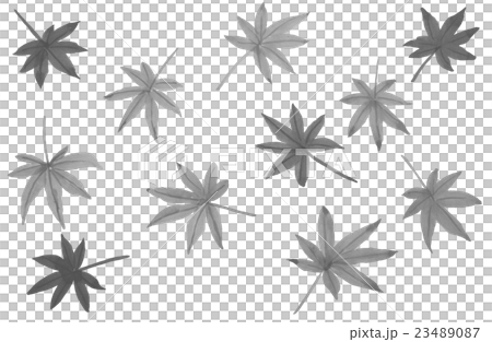 Autumn leaves - Stock Illustration [23489087] - PIXTA