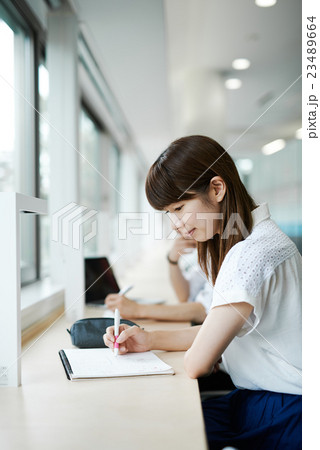 学内スペースで勉強をする女子学生 23489664