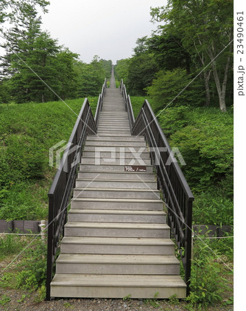 日光霧降高原キスゲ平園地 23490461