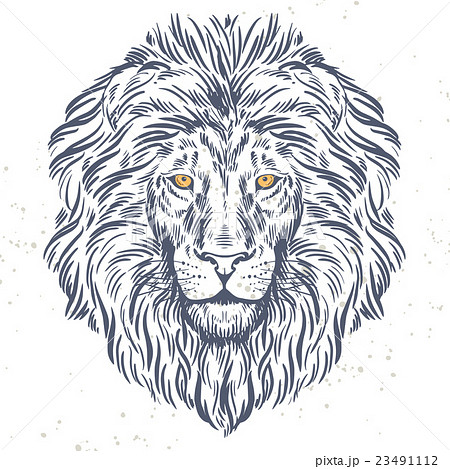Hand Drawn Lion Head Illustrationのイラスト素材
