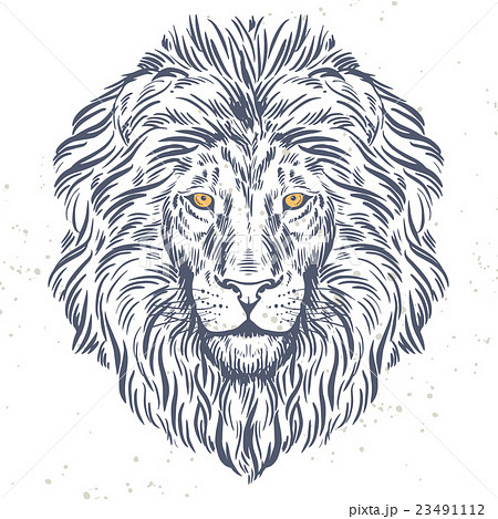 Hand Drawn Lion Head Illustrationのイラスト素材 23491112 Pixta