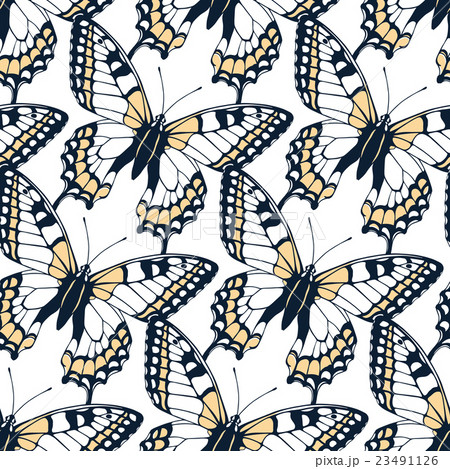Seamless pattern with butterflies 23491126