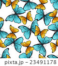Seamless pattern with butterflies 23491178