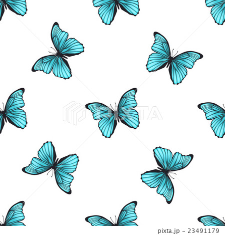 Seamless pattern with butterflies 23491179