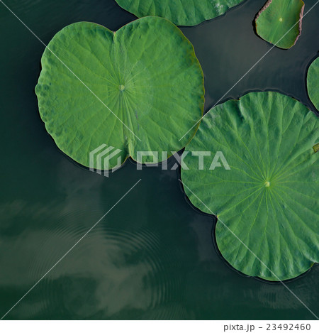 Peaceful and calm concept .  23492460