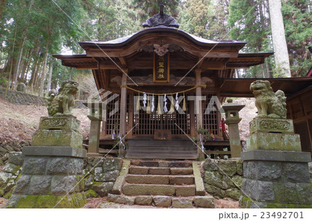 信州 諏訪の神社 熊野神社 拝殿 修験道が盛んな地域の神社 諏訪大隅流の名匠 柴宮矩重の建築が有名の写真素材 [23492701] - PIXTA