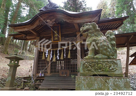 信州　諏訪の神社　熊野神社　拝殿と狛犬　修験道が盛んな地域の神社 23492712