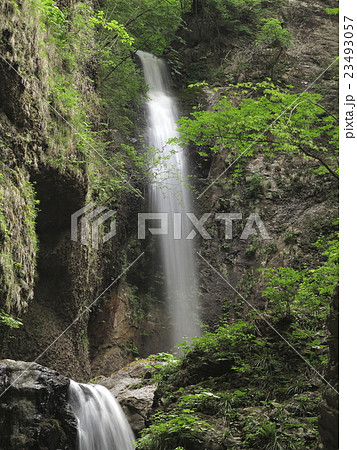竜化の滝 竜化の滝 23493057