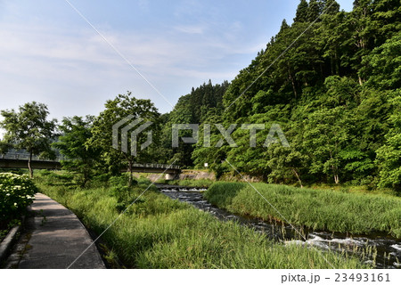 大樽川 23493161