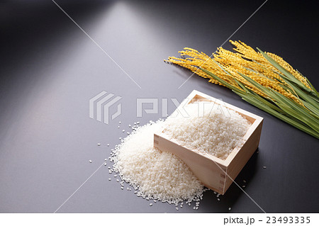 米 こしひかり（魚沼産） 23493335