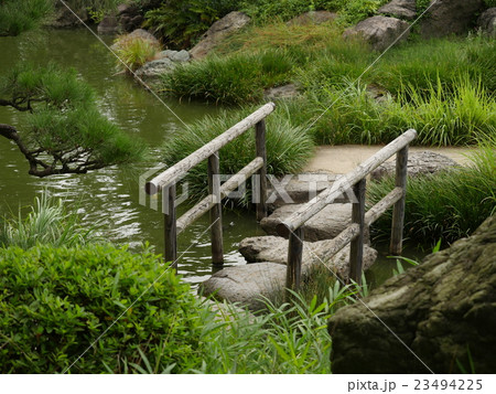 清澄庭園:渡り石 清澄庭園:渡り石 23494225