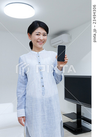 オムニ家電　スマートハウス 23494306