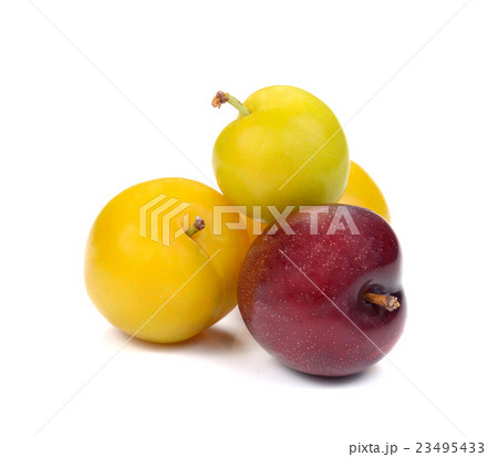 Yellow,Red Ripe plum on white background. Yellow,Red Ripe plum on white background. 23495433